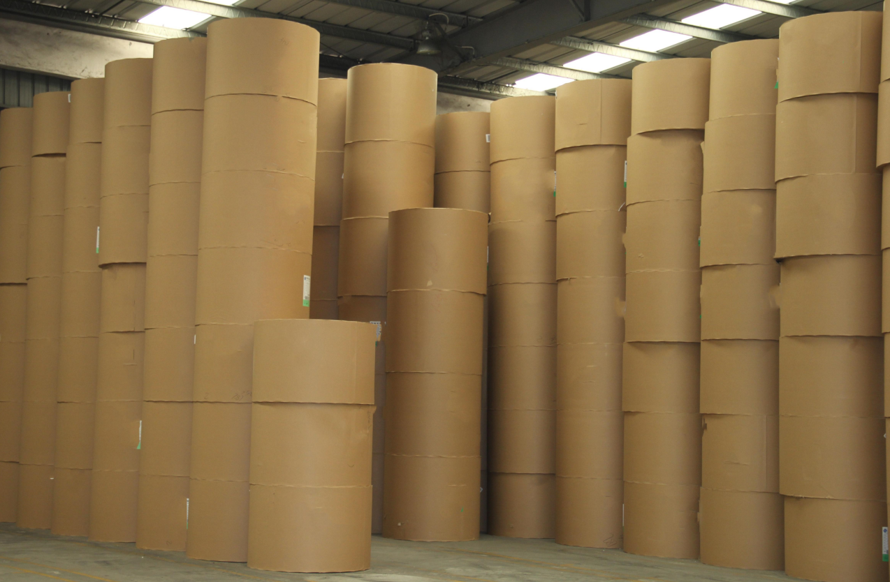 Market Insights on White Kraft Paper